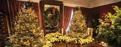 Christmas Tree Festival at Boone Hall Plantation and Gardens