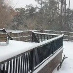 Snowfall in a Mount Pleasant, South Carolina back yard