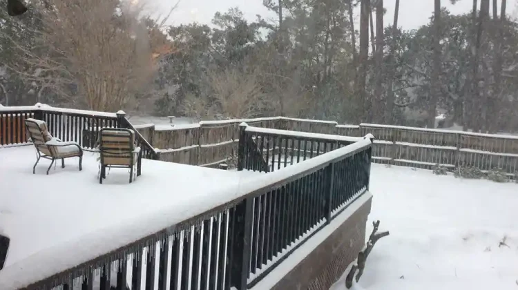 Snowfall in a Mount Pleasant, South Carolina back yard