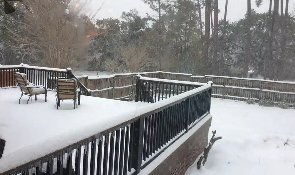 Snowfall in a Mount Pleasant, South Carolina back yard