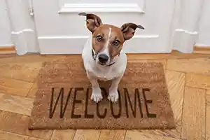 Best Pet-Friendly Realtor photo of a dog on a welcome mat - Best of Mount Pleasant 2024
