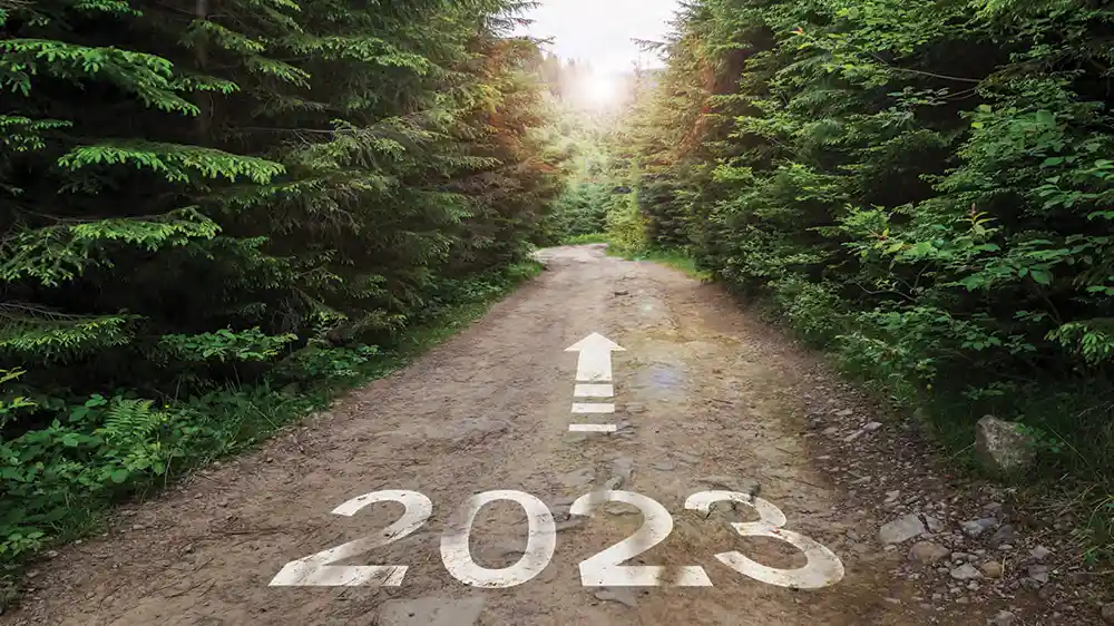 Illustration: The road leading to 2024.
