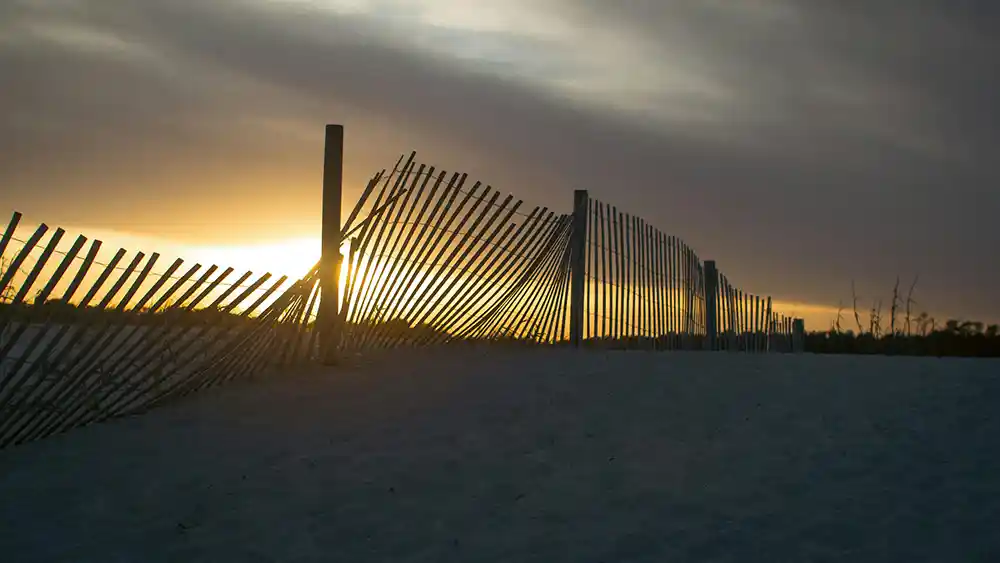 Beach in the evening at Pawleys Island, South Carolina
