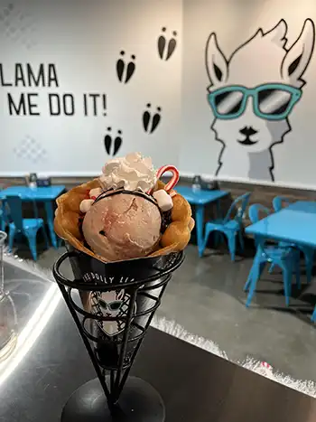 Ice Cream at Dolly Llama.