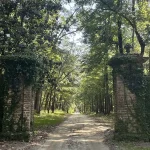 Mansfield Plantation entrance