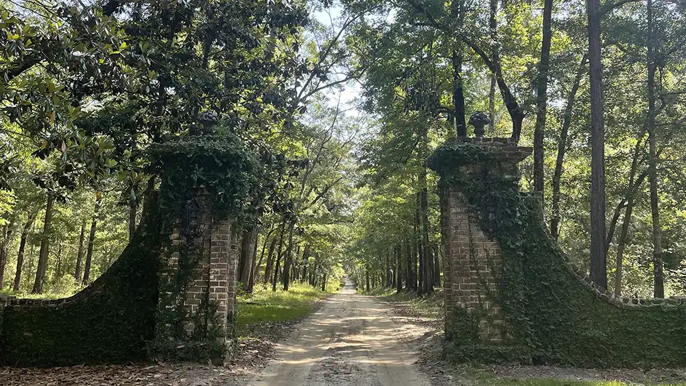 Mansfield Plantation entrance