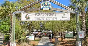 Mount Pleasant's Farmers Market