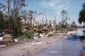 Damage along the roadside after Hugo.