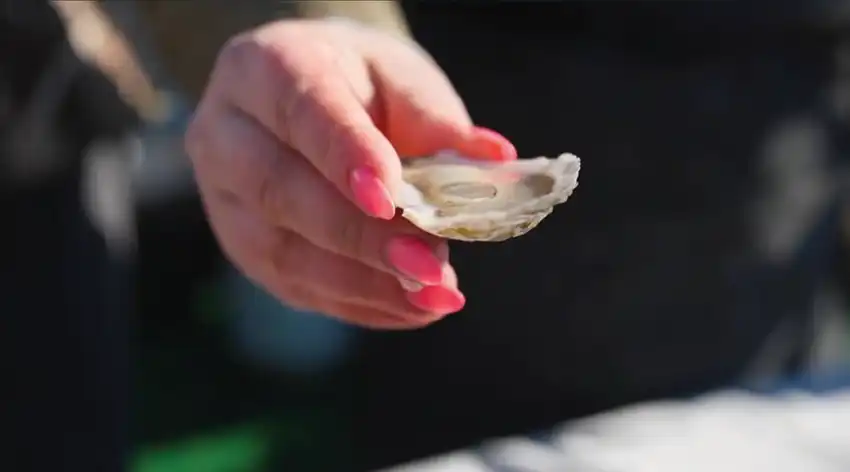 An oyster on the half shell