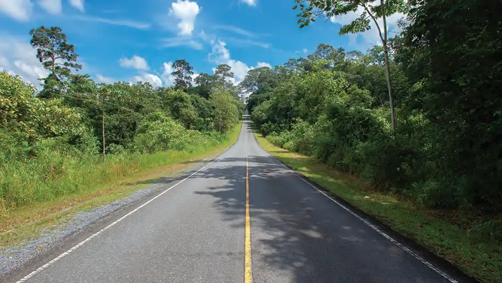 A stretch of road waiting for a road trip.