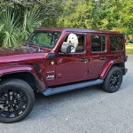 A Jeep® Wrangler Sahara Limited at Starling Chevrolet.