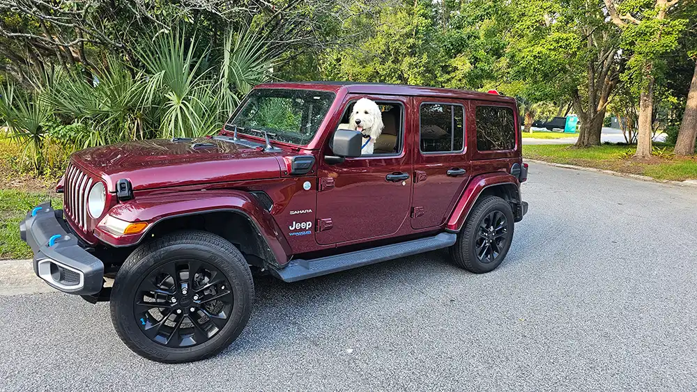 A Jeep® Wrangler Sahara Limited at Starling Chevrolet.