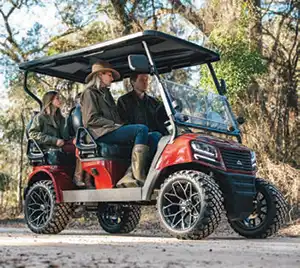 2025 Best of Mount Pleasant voted Charleston Custom Carts as Best Golf Cart Sales and Service Shop