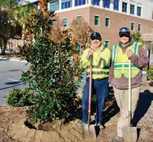 Tree Planting initiatives result in new trees being planted in Mount Pleasant, SC