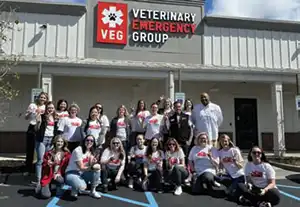 Veterinary Emergency Group named as 2025 Best Emergency Veterinary Practice in the Best of Mount Pleasant