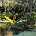 Sean Kenney Nature POP! Dragonfly
