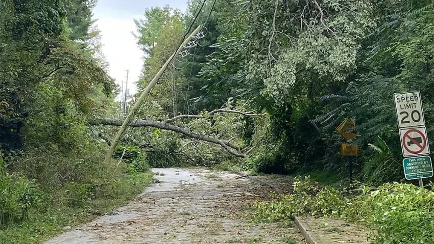 Roadway in Asheville, NC blocked by downed trees after Hurricane Helene in 2024.