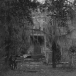 Creepy East Cooper photo: a house sits amongst overgrown trees.