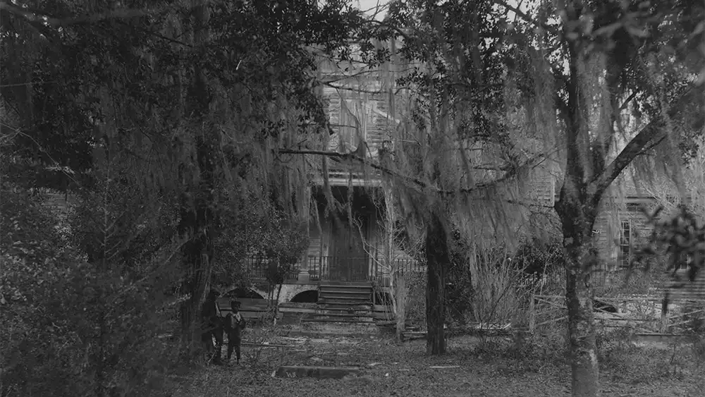 Creepy East Cooper photo: a house sits amongst overgrown trees.