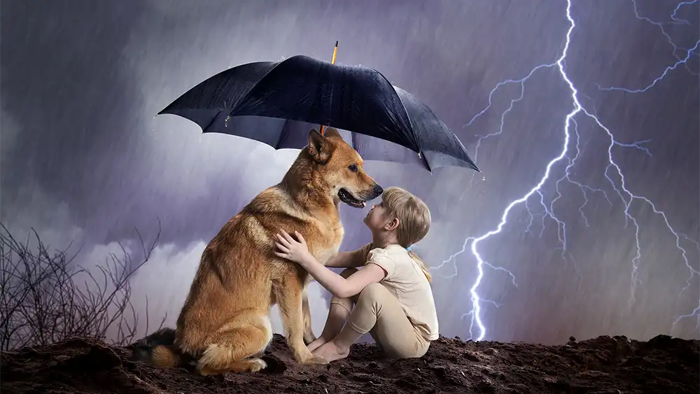 A little boy and his dog under an umbrella during a lightning storm before an oncoming hurricane.