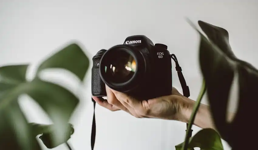 Photography - a photographer holding a camera. Photo by Lilly Rum on Unsplash.