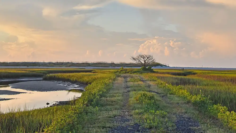 Isolated road located on McKenzie Beach. Photo by Tanya Ackerman.