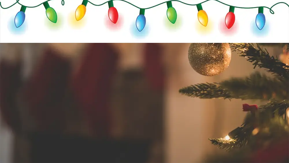 Mount Pleasant Holiday Fun photo