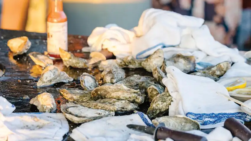 Lowcountry Oysters on a table, shucked for eating