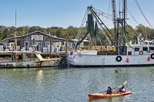 Coastal Expeditions voted 2026 Best Paddleboard/Kayak Rental Company