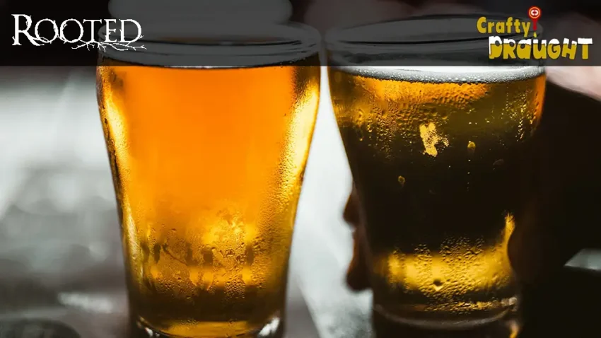 Rooted Bottle Market and Bar and Crafty Draught 2026 Best of Mount Pleasant