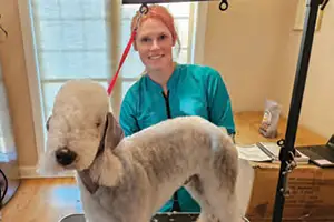 Looking for a cat groomer near you? The Posh Pet & Salon is the 2026 Best Cat Groomer in the Best of Mount Pleasant