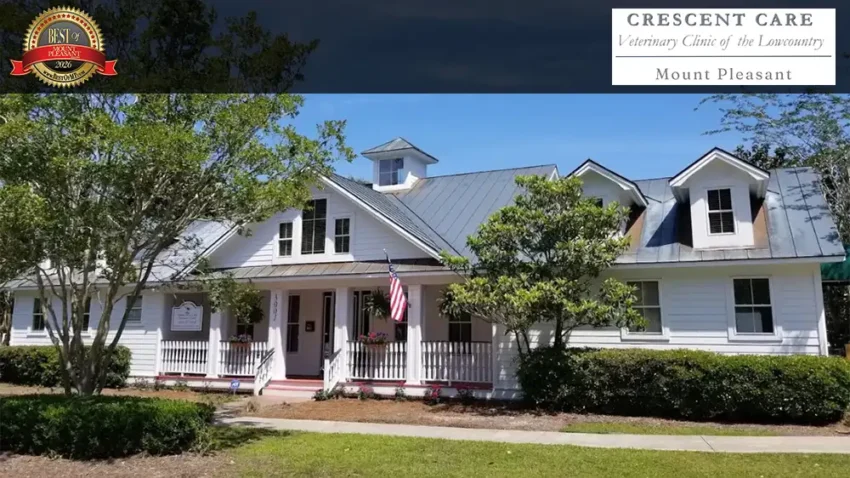 Crescent Care Veterinary voted as 2026 Best Veterinary Practice.