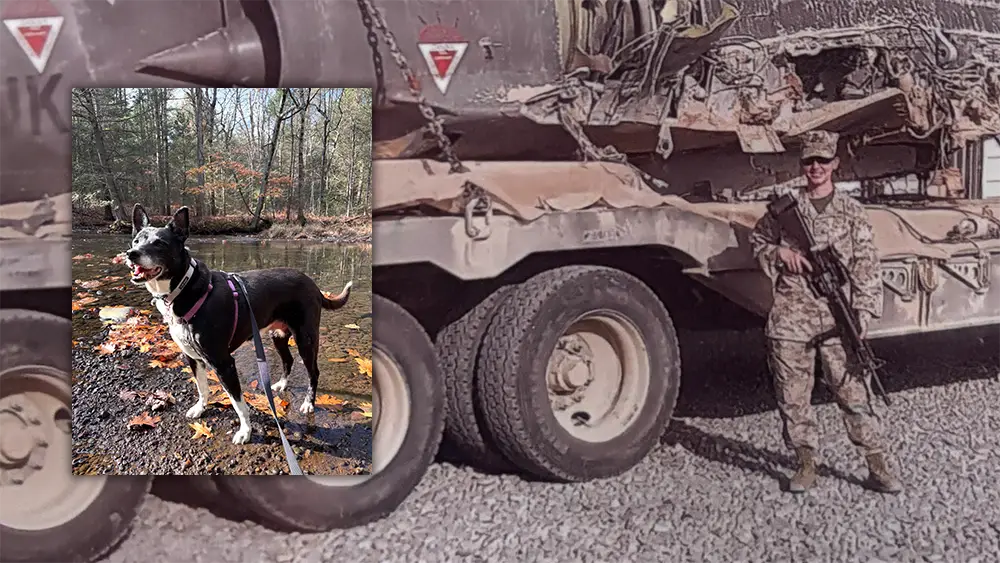 A split image featuring former US Marine Lauren Smolkawicz in uniform standing near a damaged French Dassault Mirage F1 aircraft on a military base, next to a photo of her senior border collie mix, Madelynn, on a hiking trail.